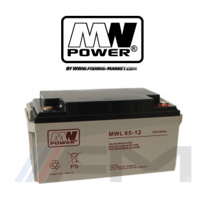 Акумулаторна тягова батерия MW POWER AGM - MWL 65Ah 12V 